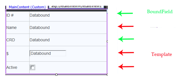 DetailsView Control